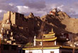 Tour Operators Ladakh