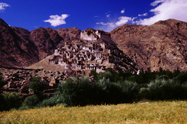 Ladakh Monasteries Tours
