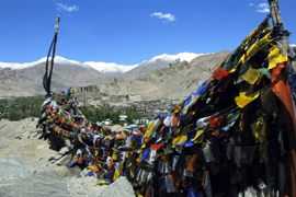 Trekking In Ladakh